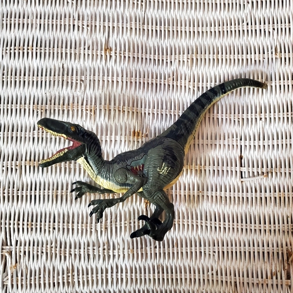 Hasbro | Toys | Jurassic World Hasbro Blue Raptor Velociraptor ...
